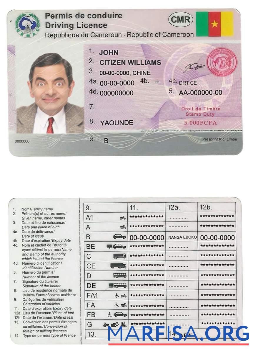 Printable Cameroon driving license example
